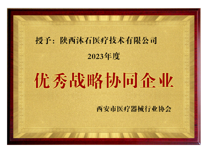 沐石医疗获2023年度优秀战略协同企业